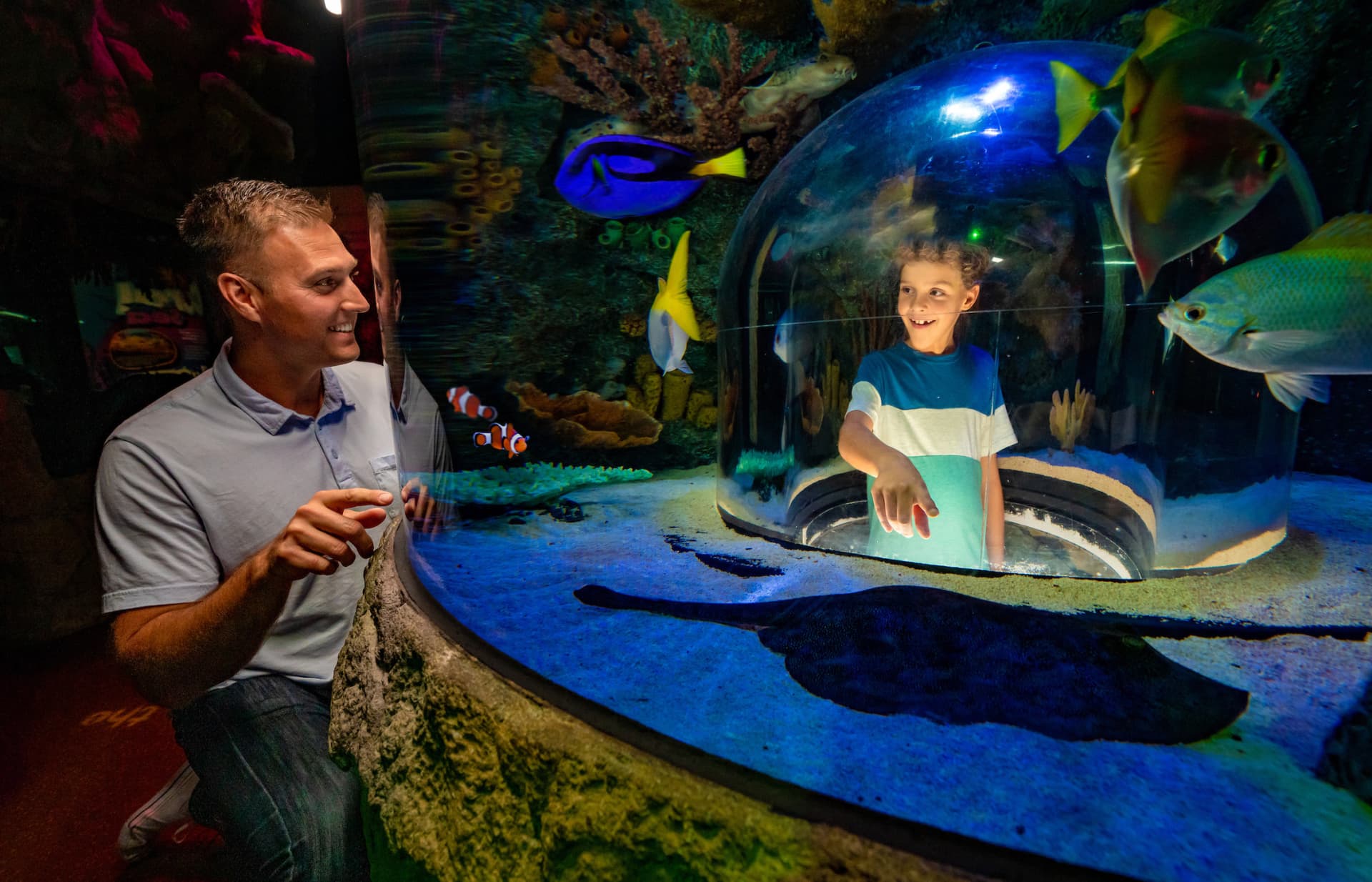 SEA LIFE Orlando Aquarium Ticket - image 5