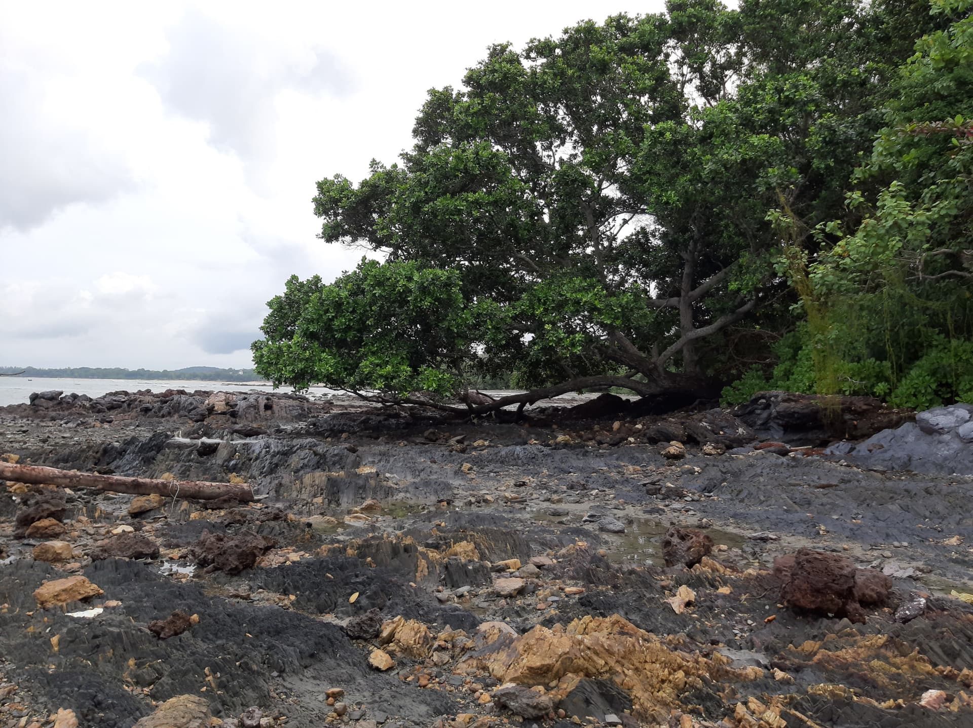 Desaru Beach and Tide Pool Walk - image 17