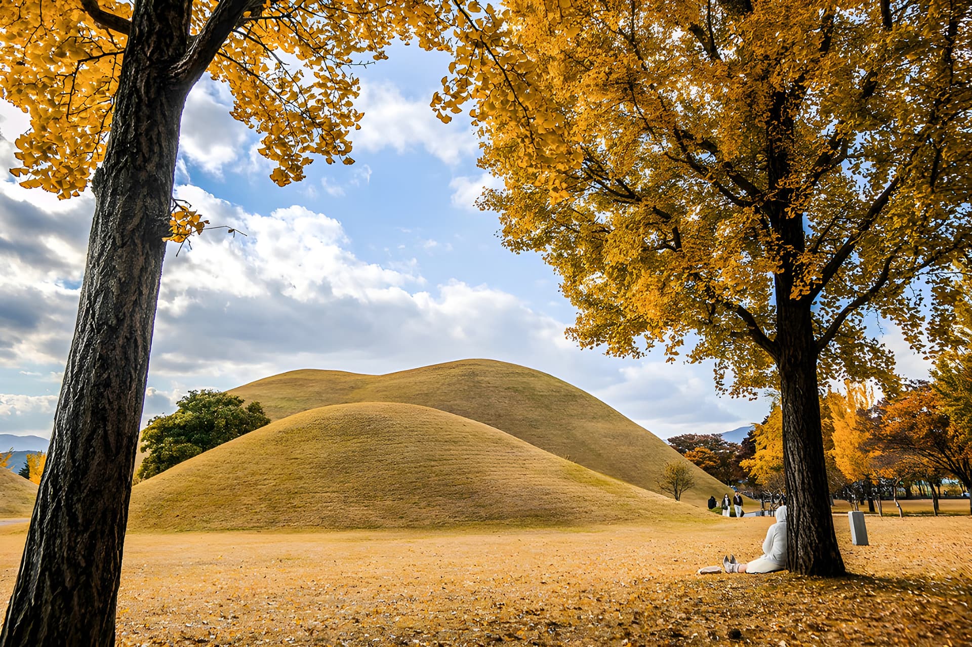 Gyeongju Autumn Foliage One Day Tour from Busan - 이미지 5
