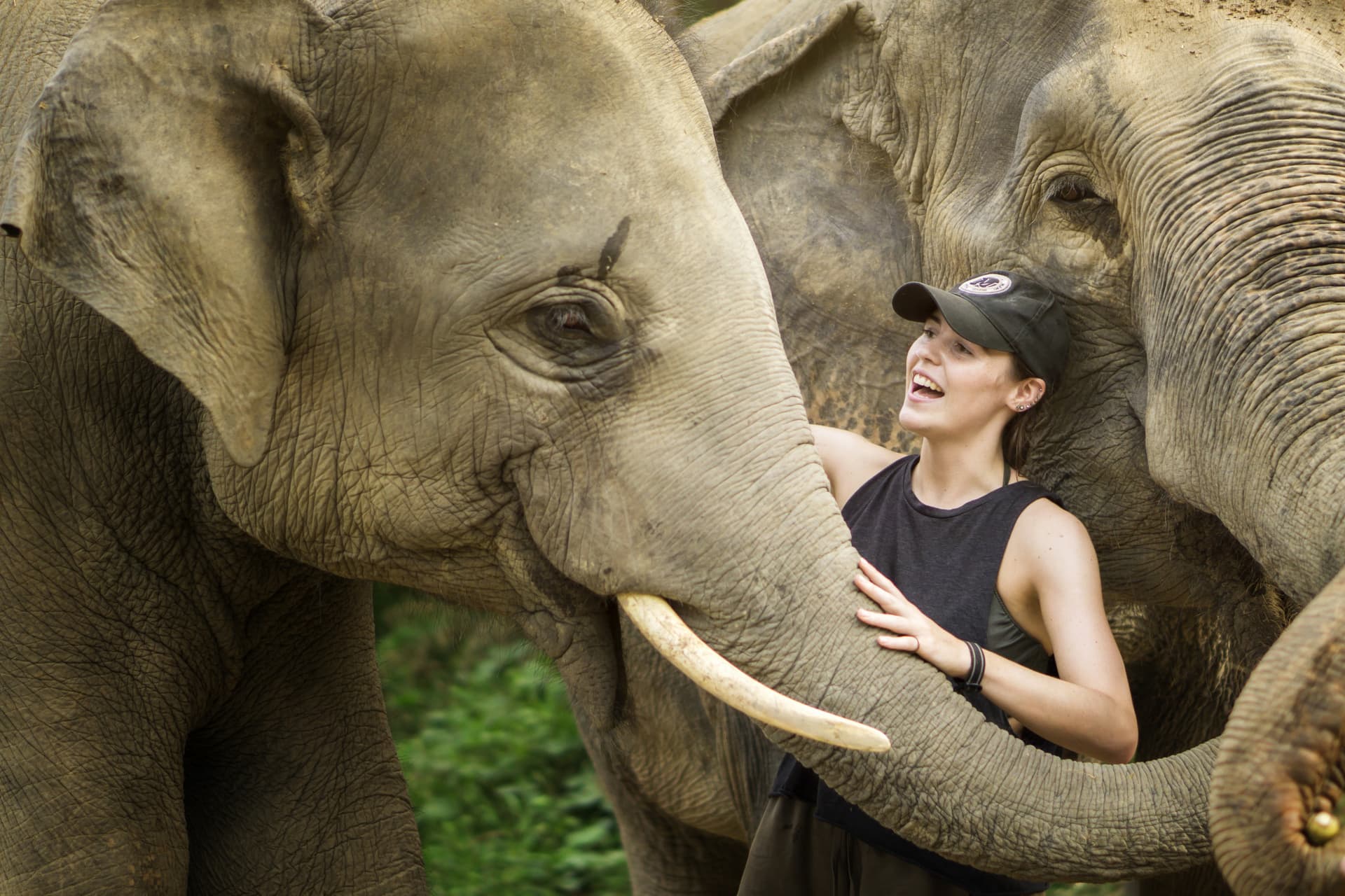 Elephant Jungle Sanctuary Pattaya - imagen 3