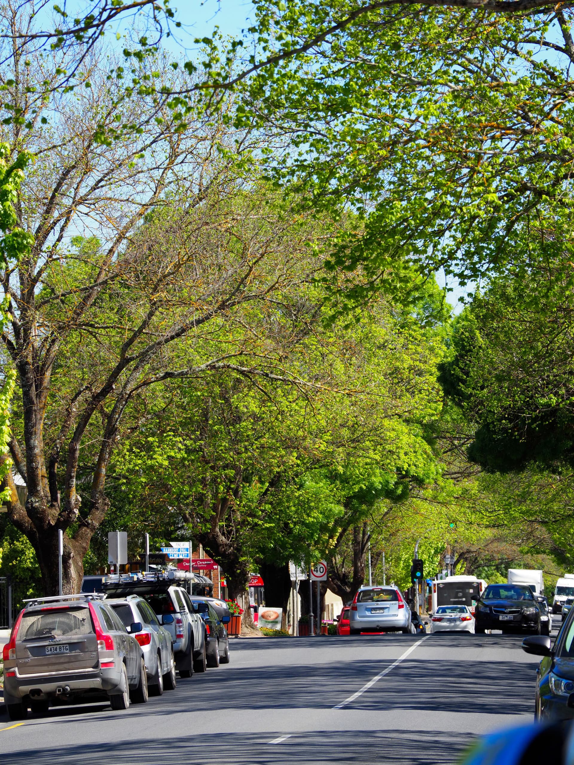 Adelaide Hills and Hahndorf Tour - image 3