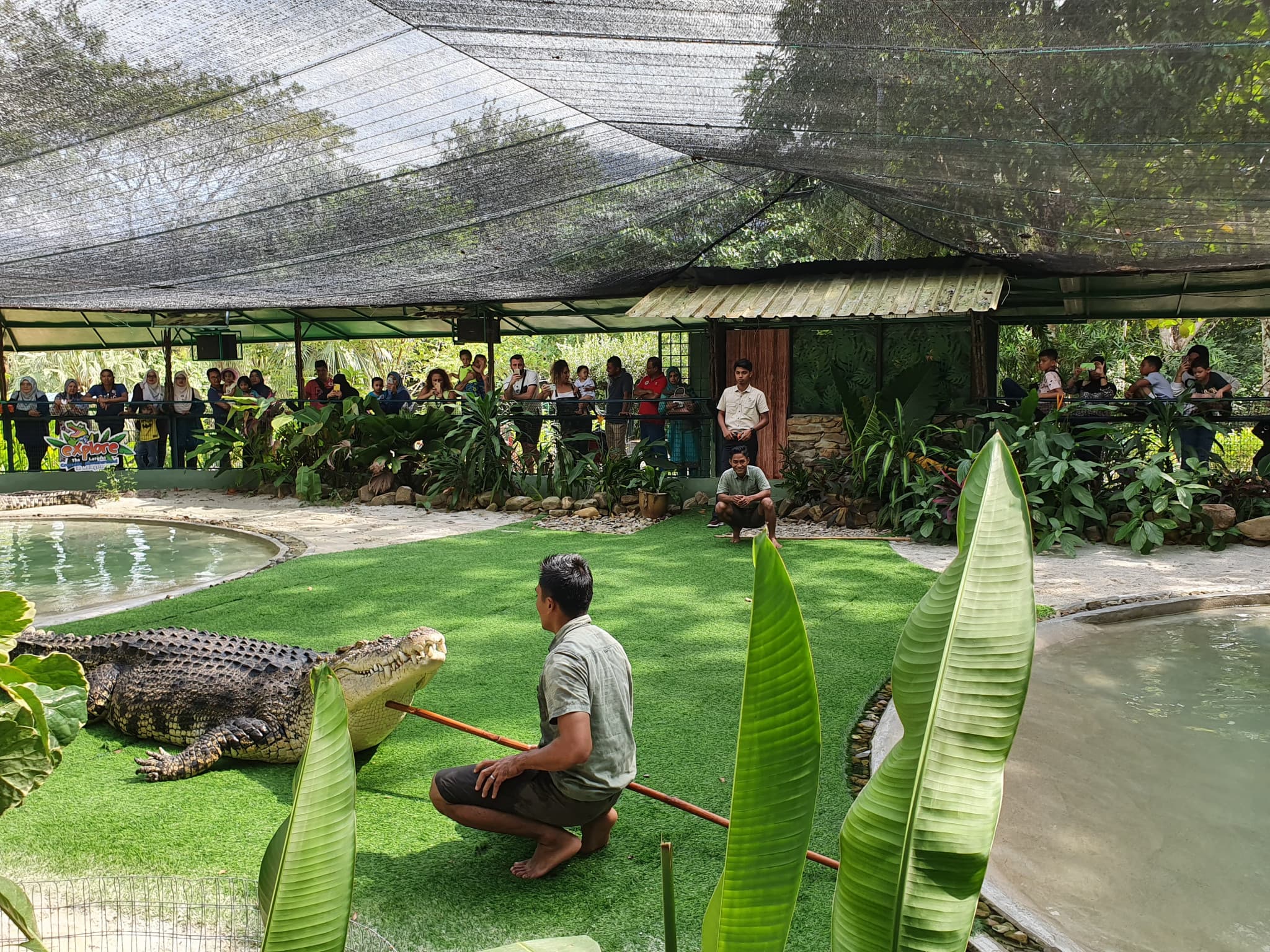 Crocodile Adventureland Langkawi - image 7