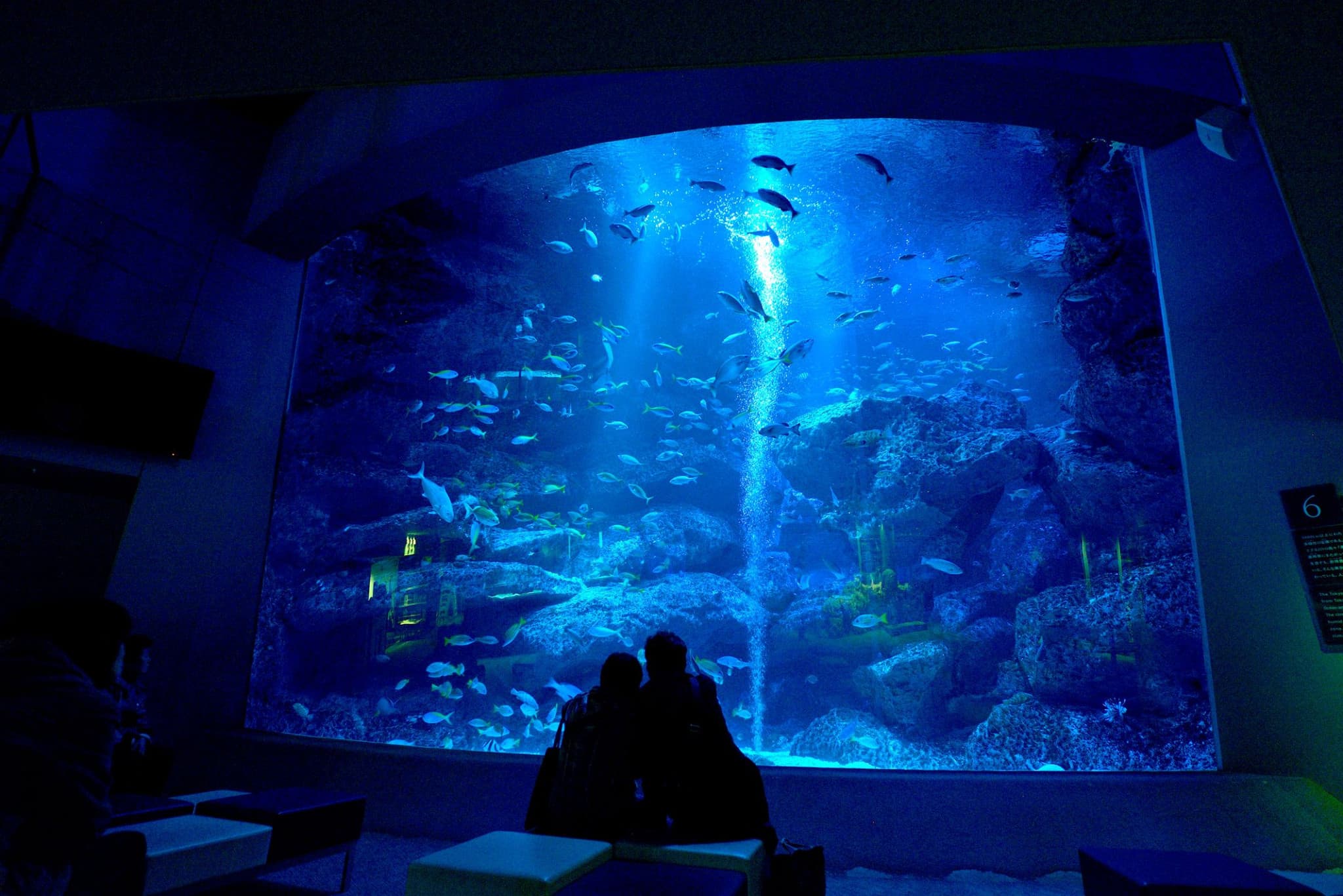 Sumida Aquarium Ticket - image 6