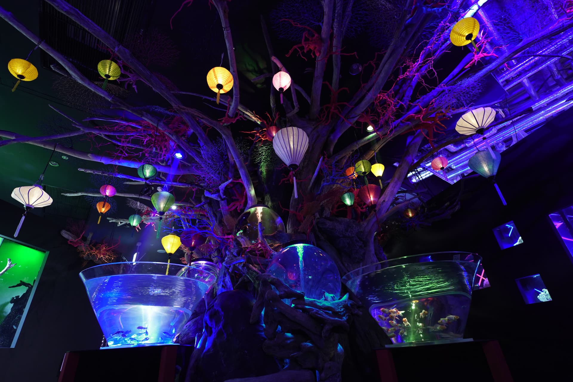 UWS Aquarium Gakyo Ticket - image 8