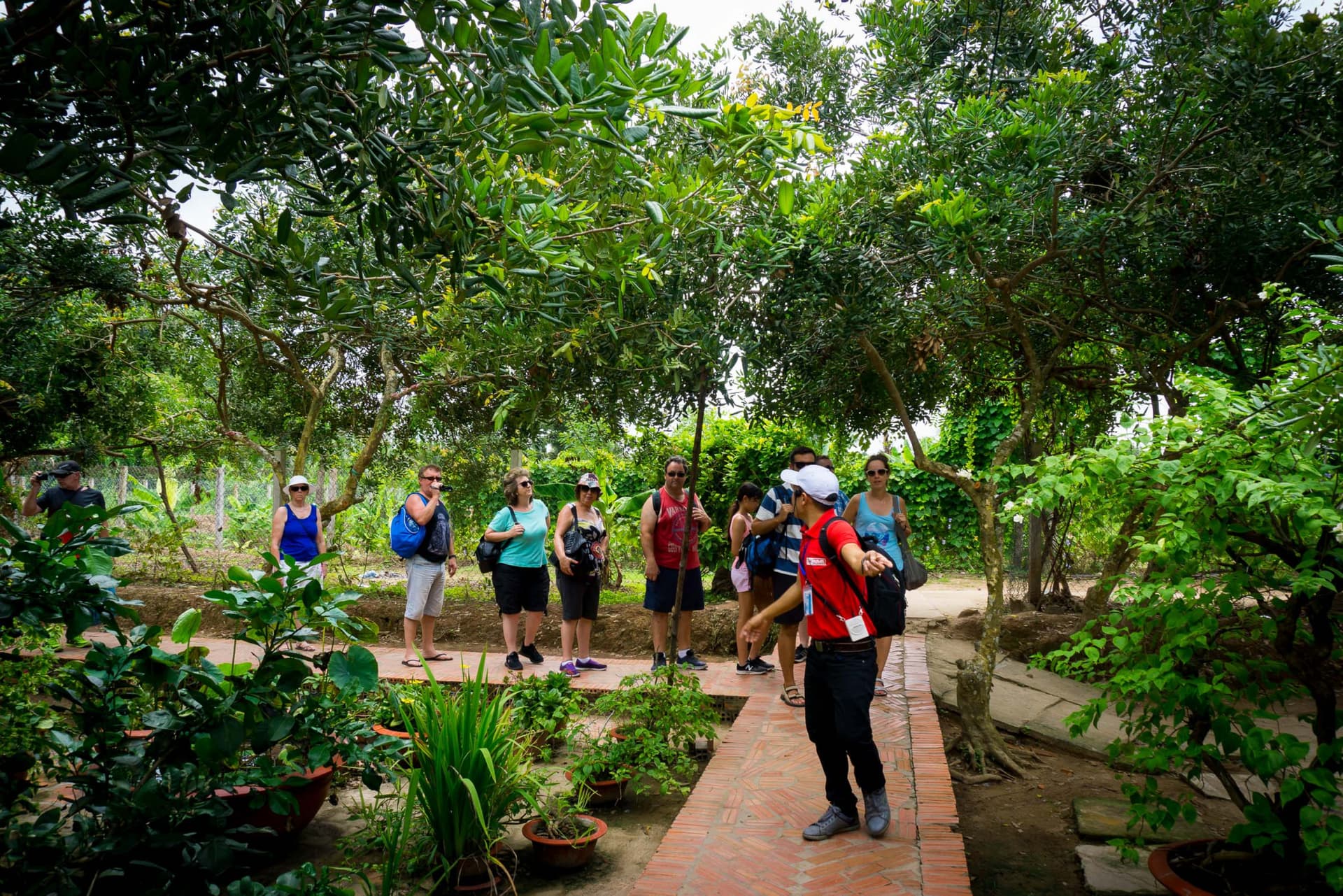 Mekong Delta Full-Day Tour from Ho Chi Minh City - image 6