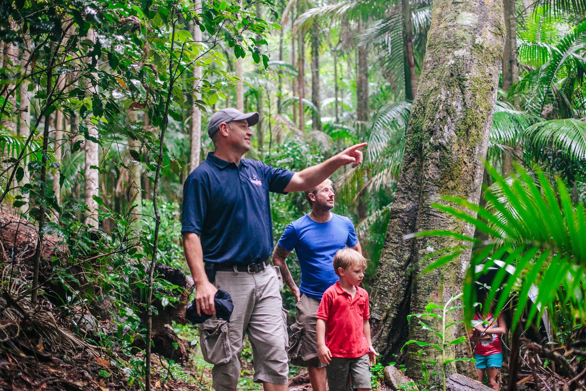 Tamborine Mountain Guided Walk and Wine Tasting Tour - image 2