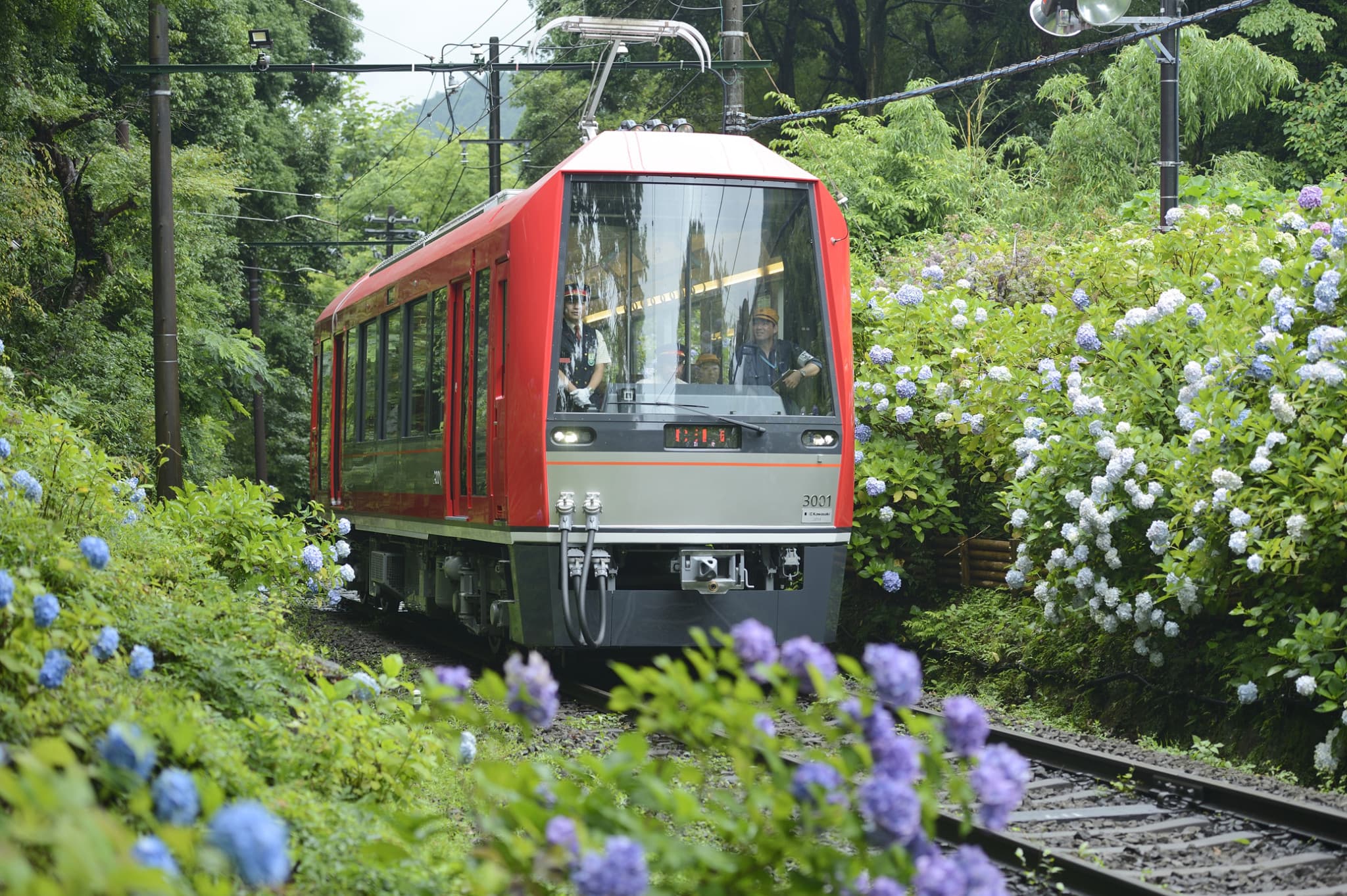 Fuji Hakone Pass - image 2