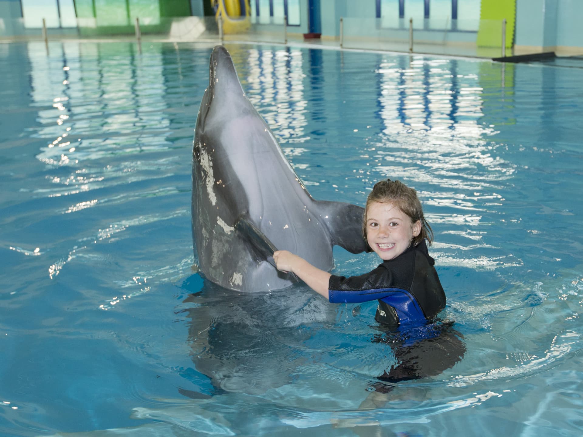 Entrada para Dubai Dolphinarium - imagen 14
