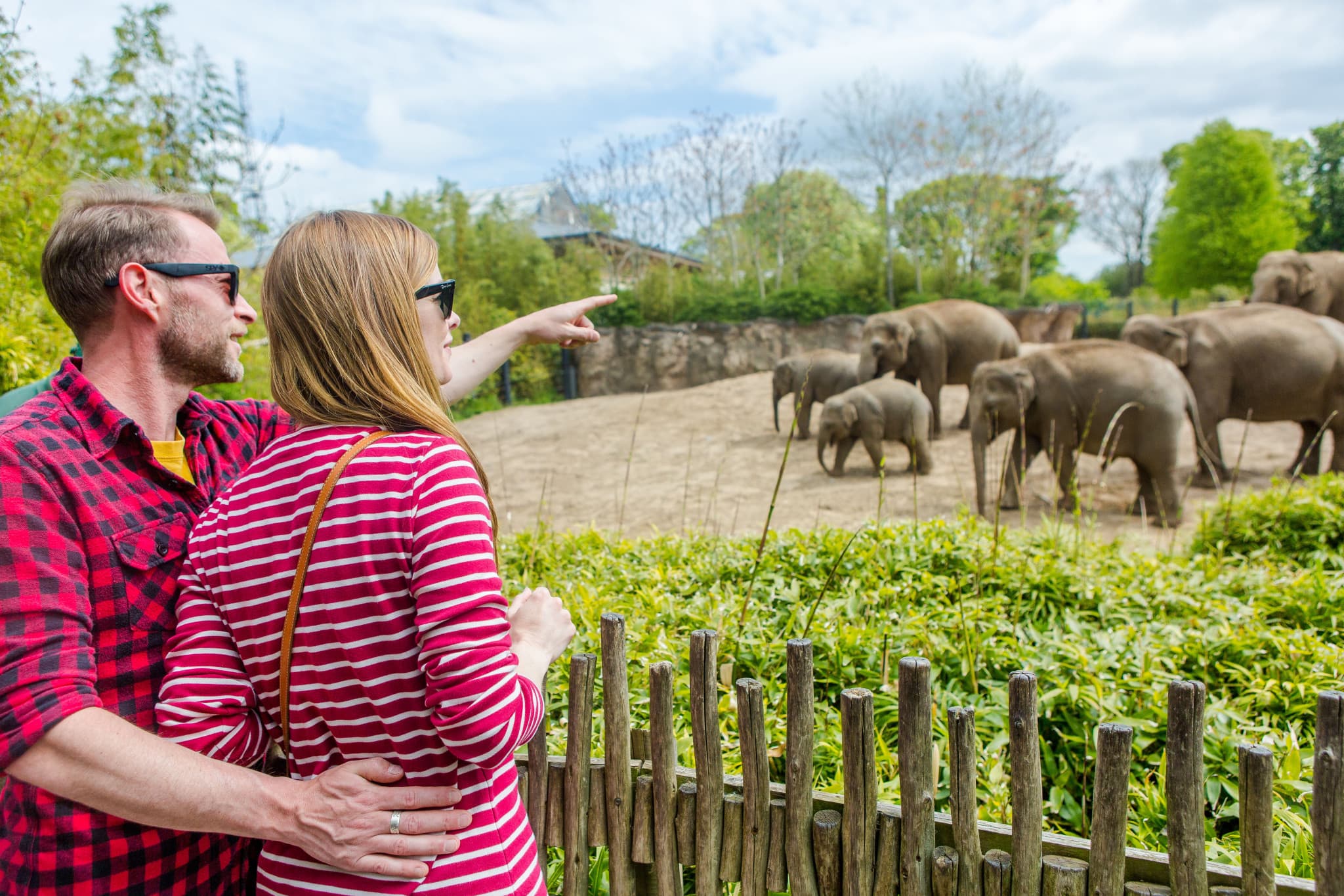 Go City Dublin Essentials Pass: 3 Attractions - image 8