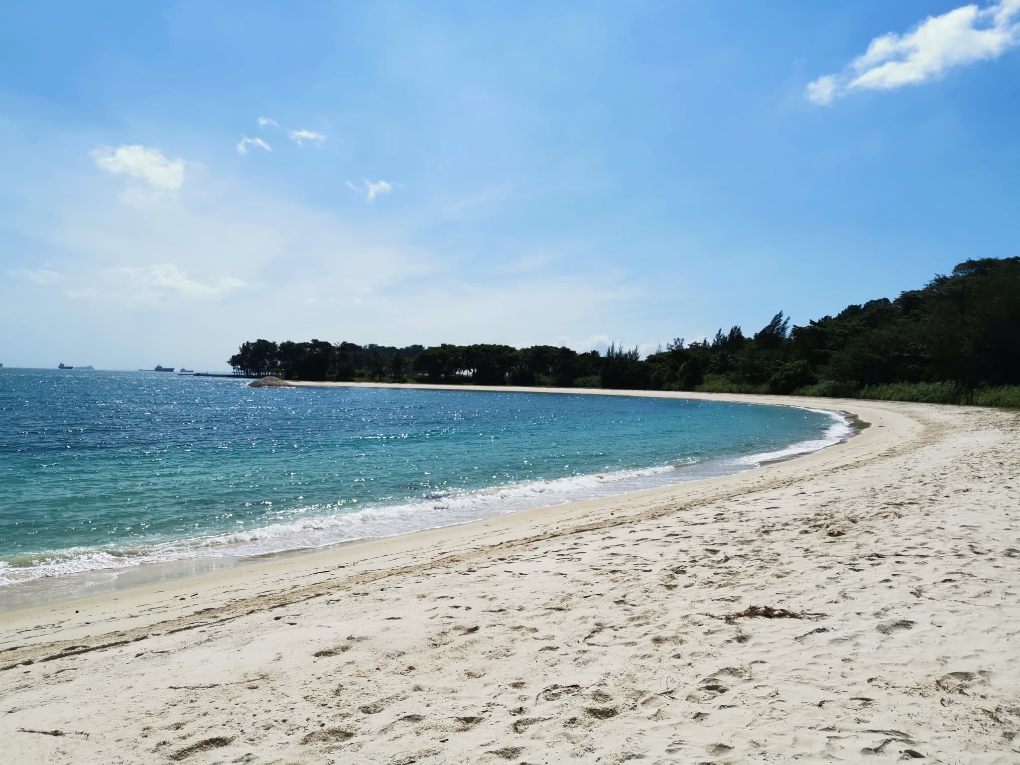 Singapore Island Cruise - St. John's Island, Lazarus Island, and Kusu Island by Ferry - image 8