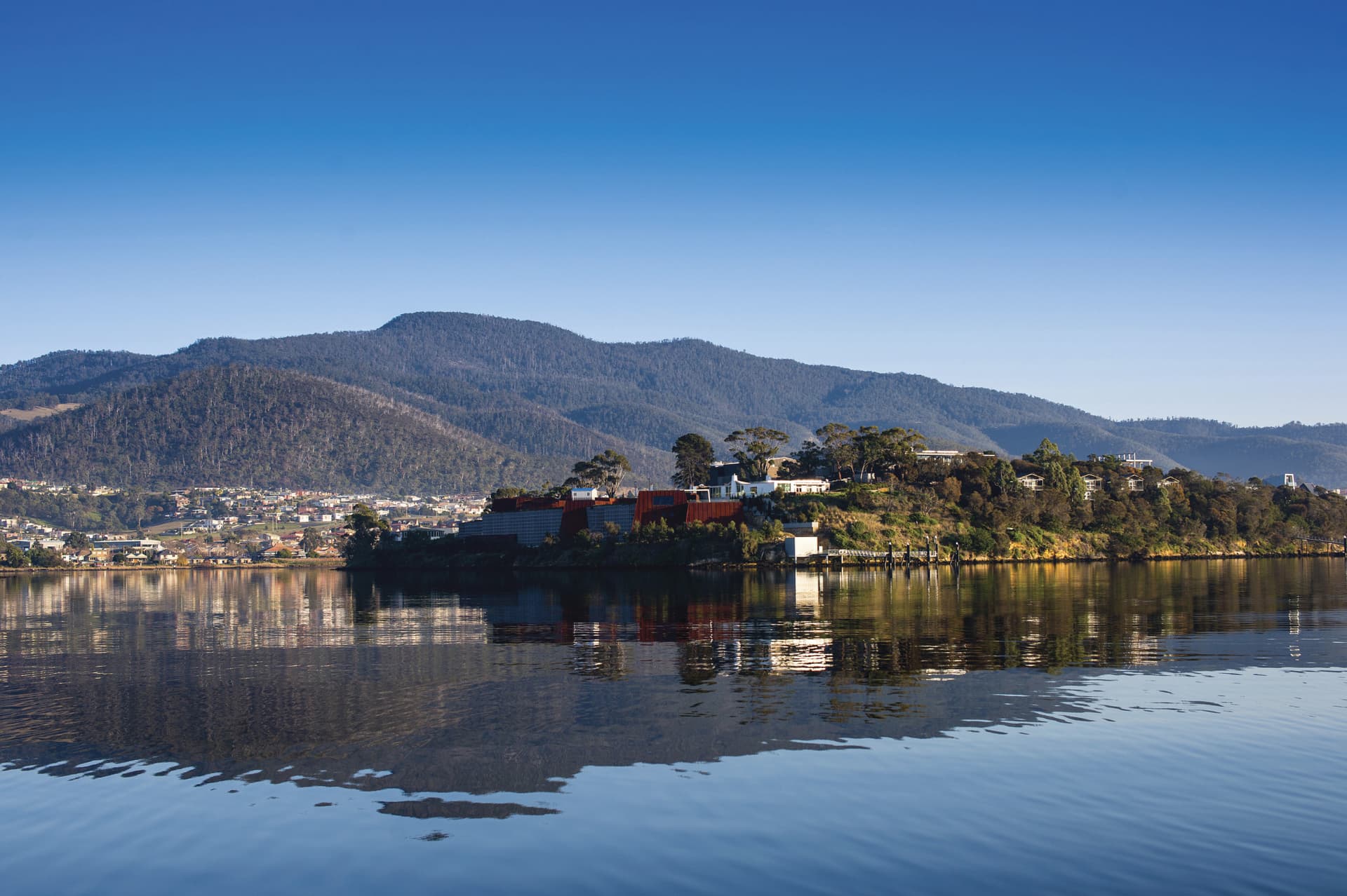Mount Wellington Tour - imagen 3