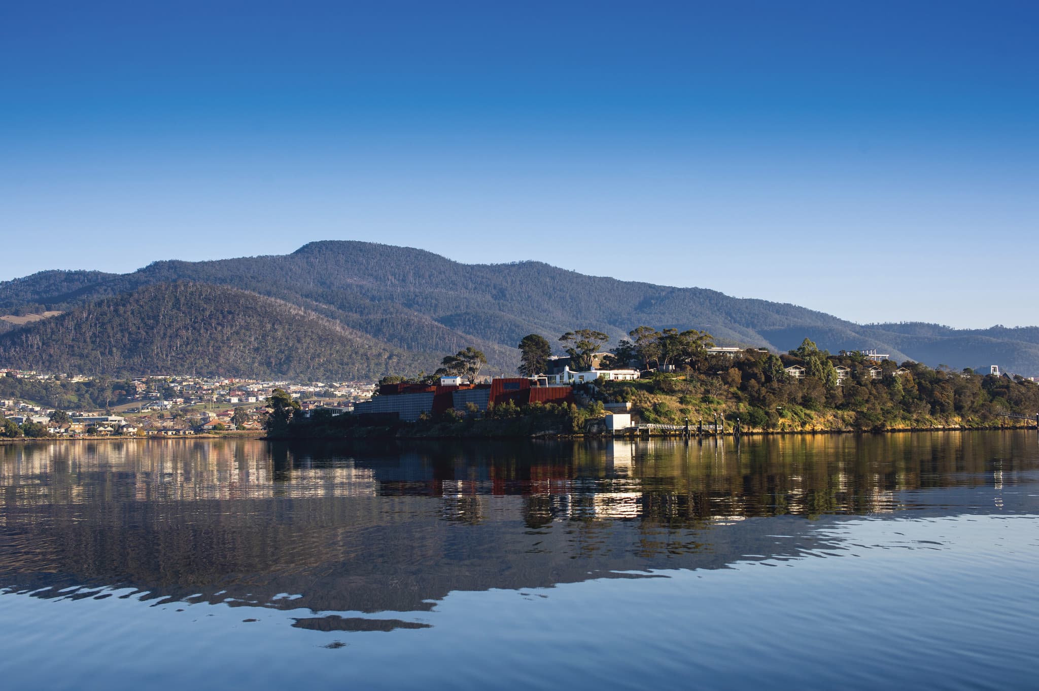 Mount Wellington Tour - image 3