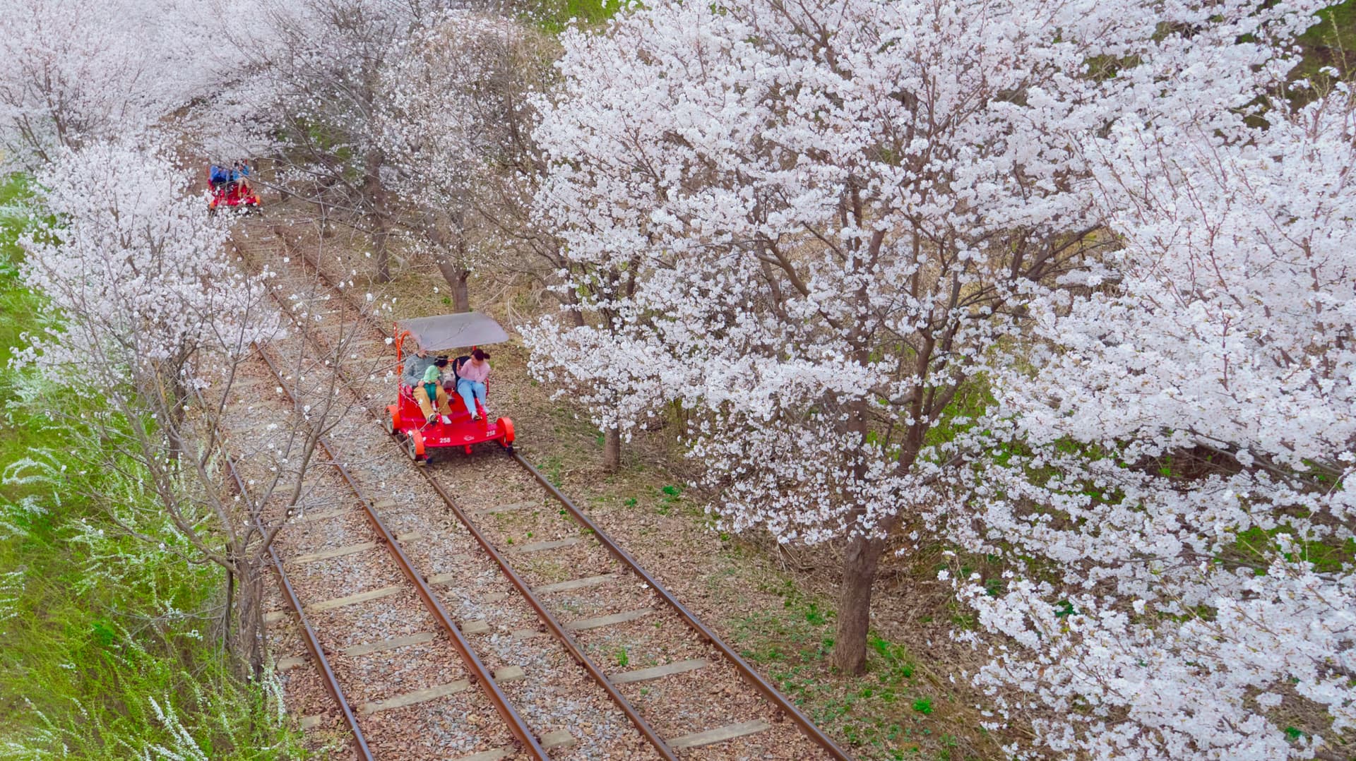 Nami Island, Mount Seorak, and Gapyeong Rail Bike Full-Day Tour from Seoul - 이미지 15