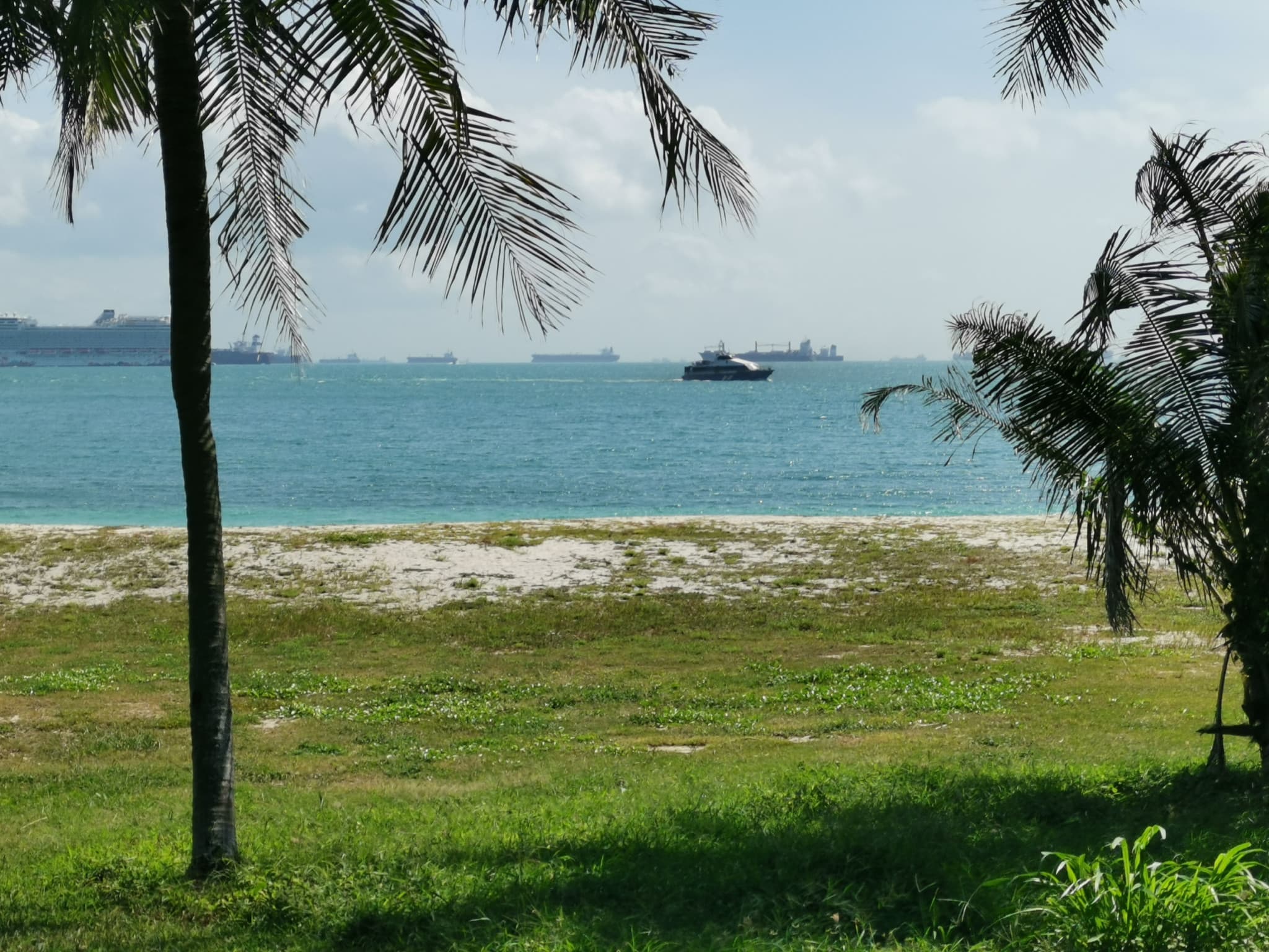 Singapore Island Cruise - St. John's Island, Lazarus Island, and Kusu Island by Ferry - image 9