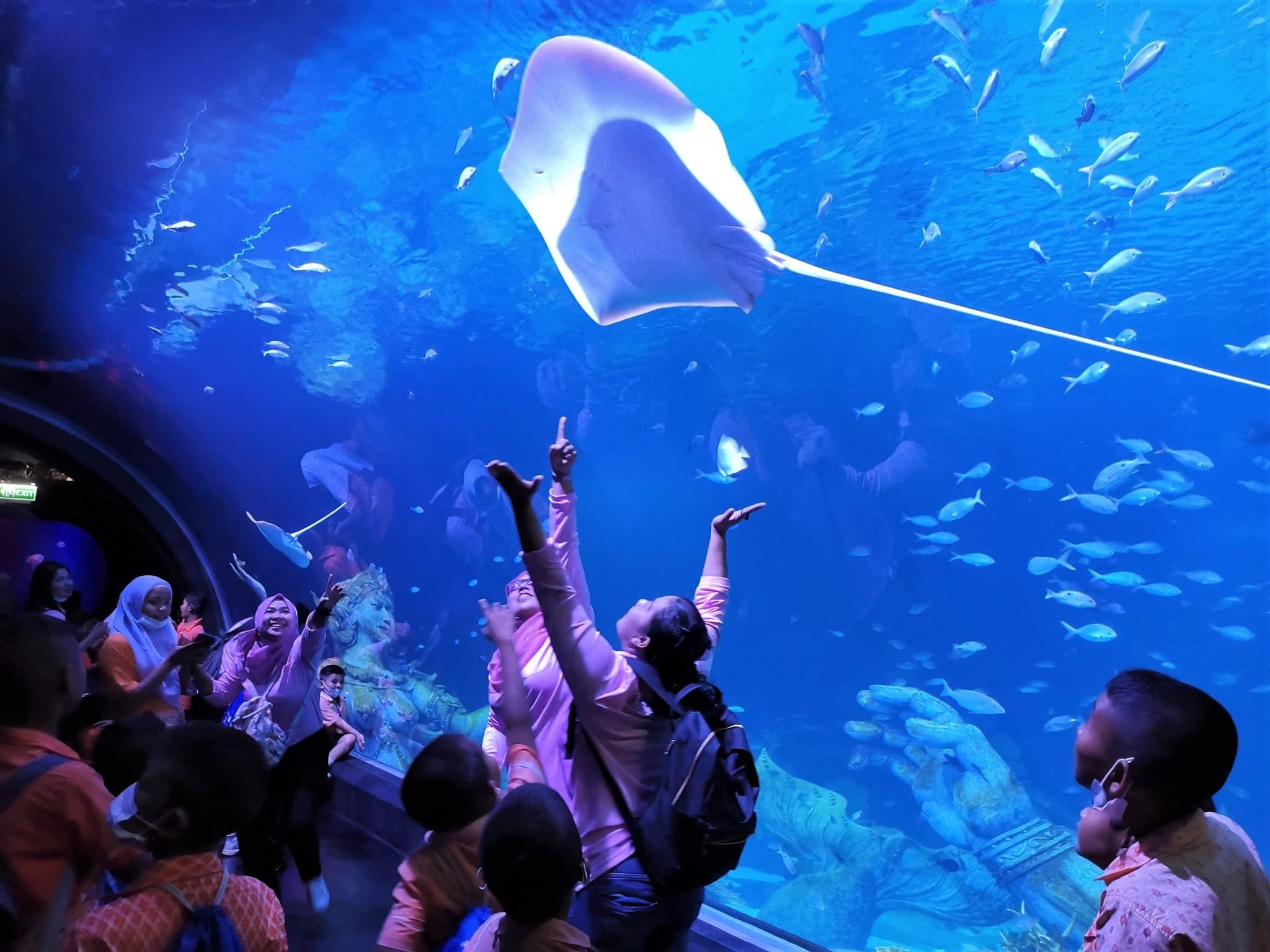 Aquaria Phuket - image 5
