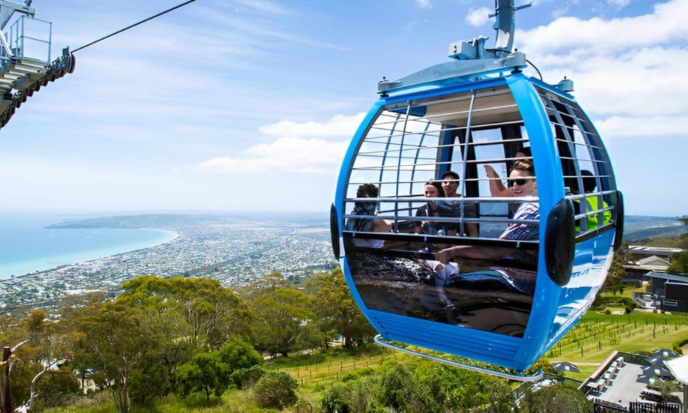 Arthur’s Seat Eagle Cable Car Ride Over the Mornington Peninsula - image 3
