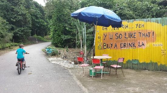Pulau Ubin Cycling Tour - image 15