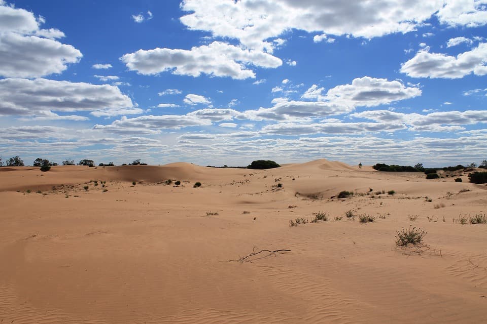 Pinnacles Desert Tour with 4WD Adventure from Perth - image 7