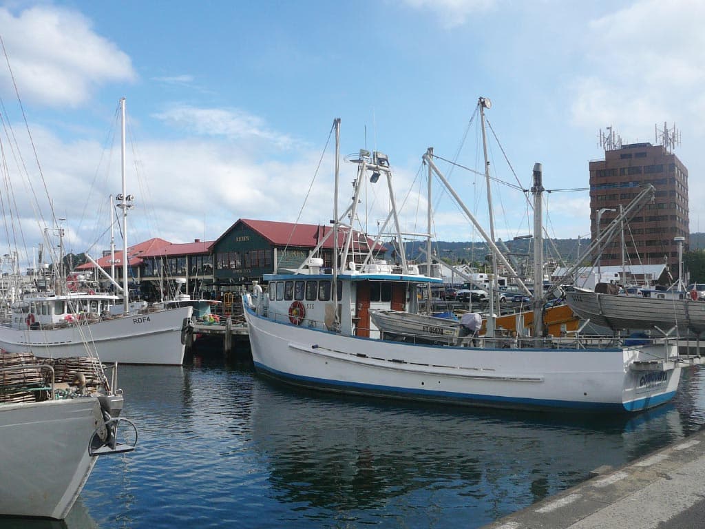Bonorong Wildlife Sanctuary and Hobart City Tour - image 8