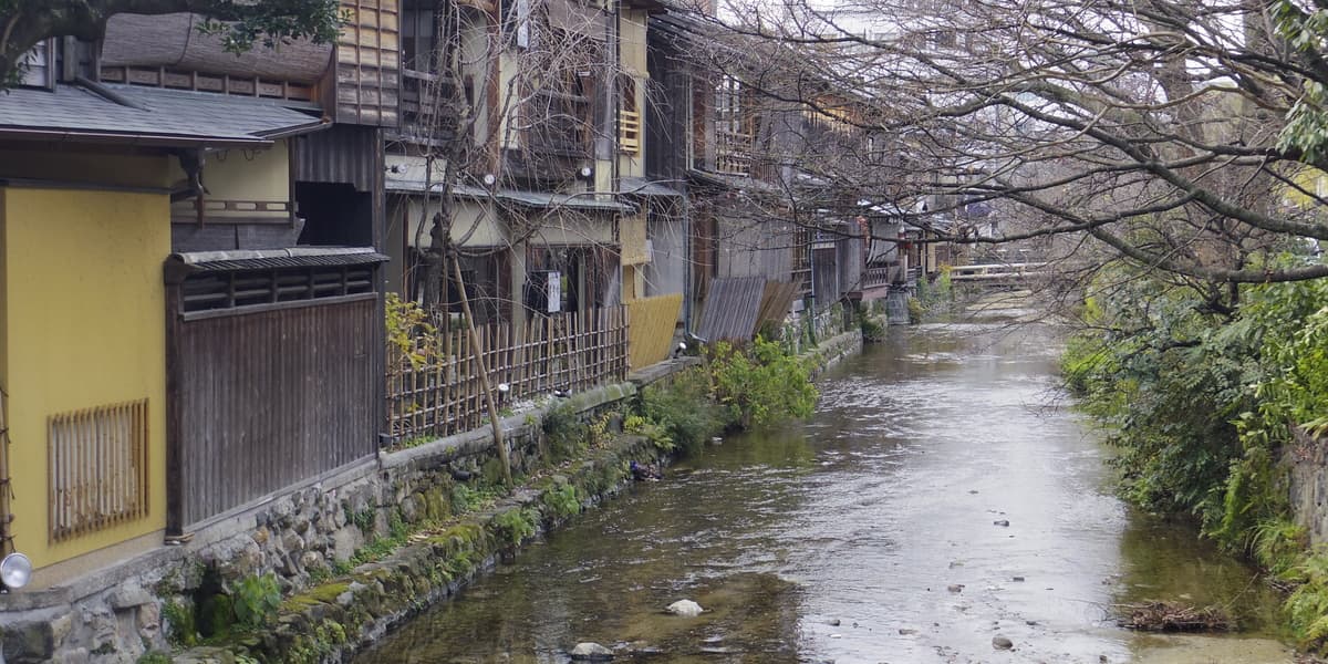 Kyoto Food and Drink Tour - Nishiki street and Gion - image 11
