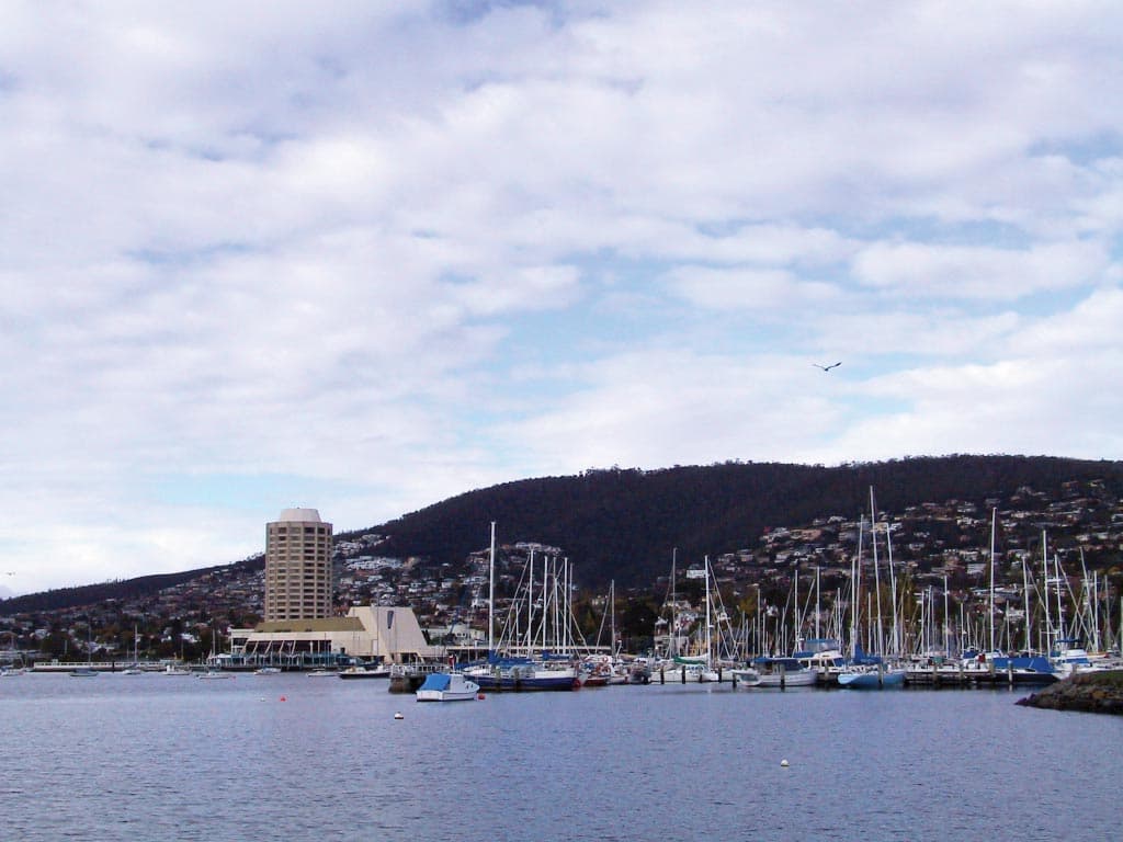 Bonorong Wildlife Sanctuary and Hobart City Tour - image 10